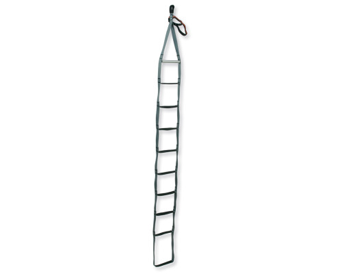 Ladder Aiders Cassin